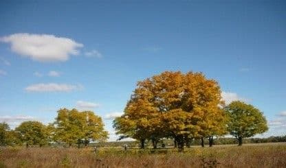 Elistory sidebar image