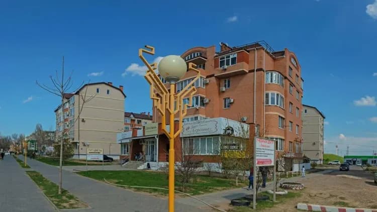 студия "Полынь"